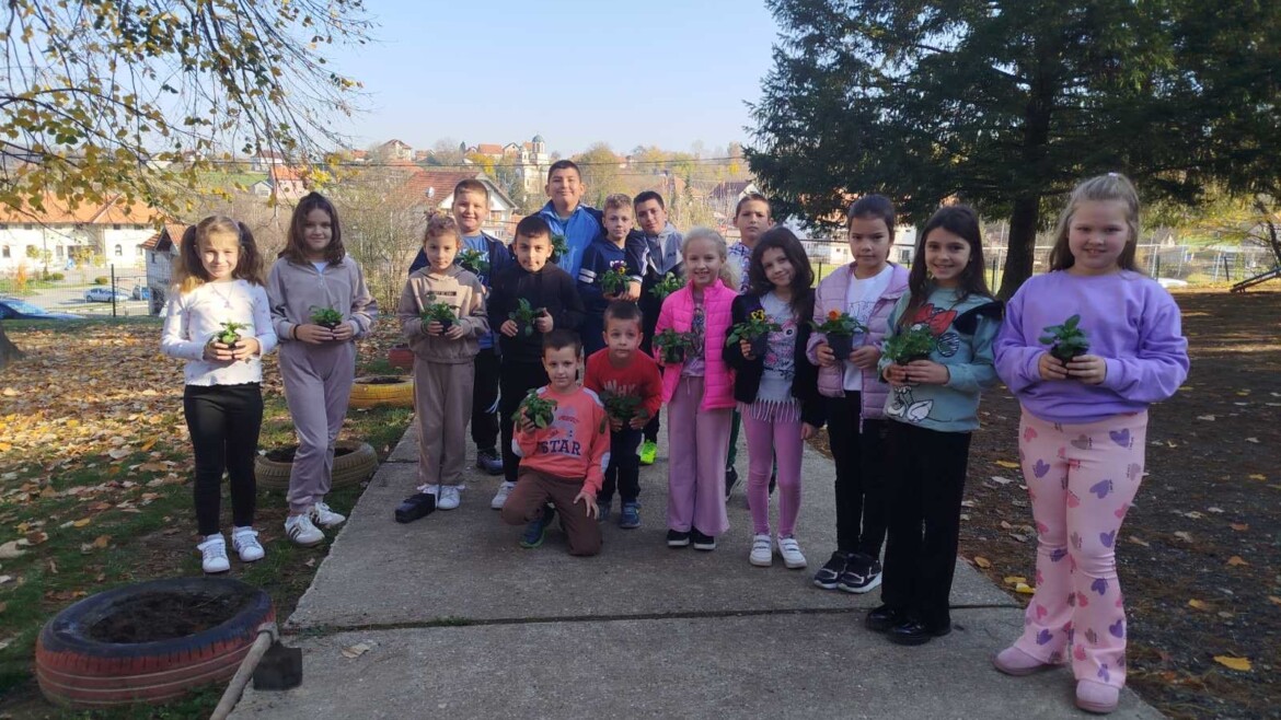 Донација цвећа и четинара подручним школама и матичној школи